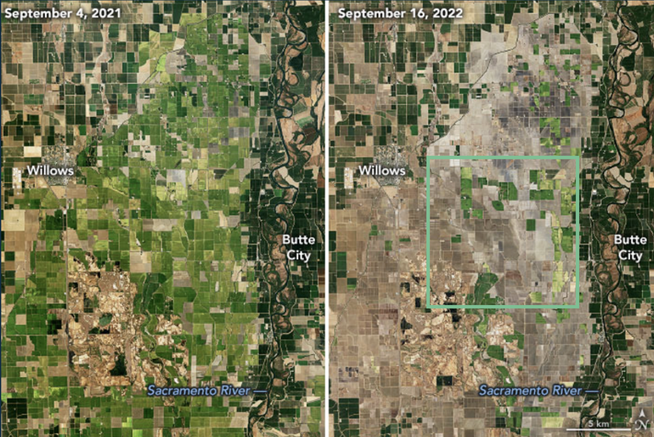 venus-5m sim-dought change detection-sacramento river