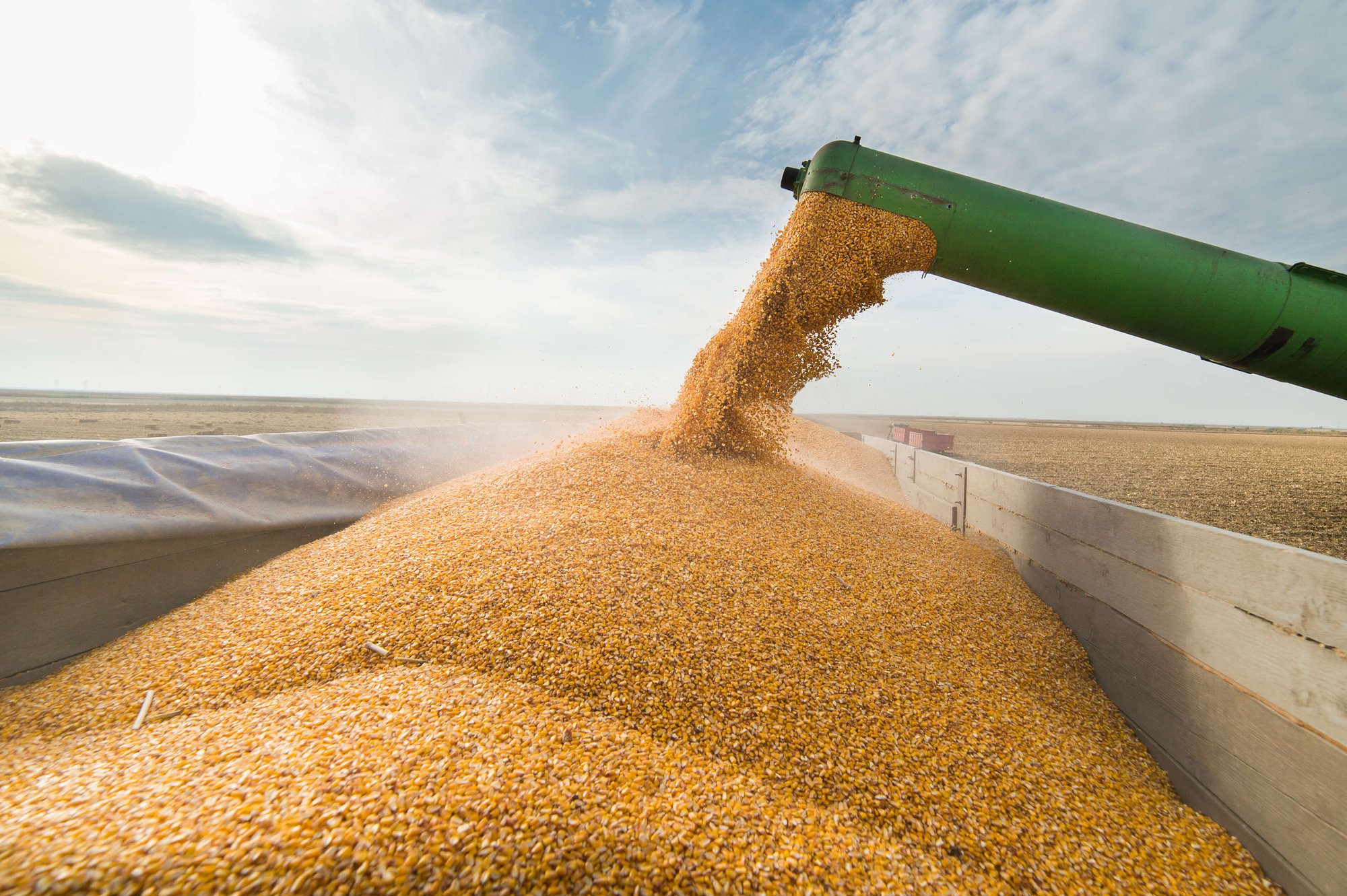 Vertical-Agriculture-SST-1