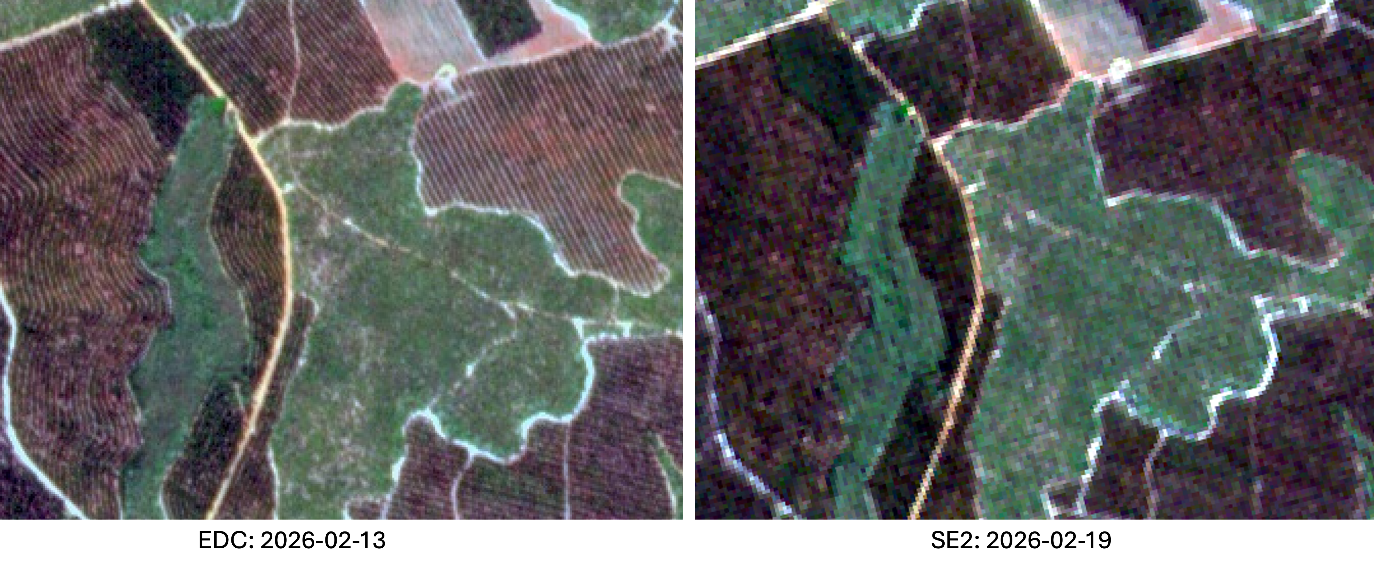 EDC vs sentinel 2_1