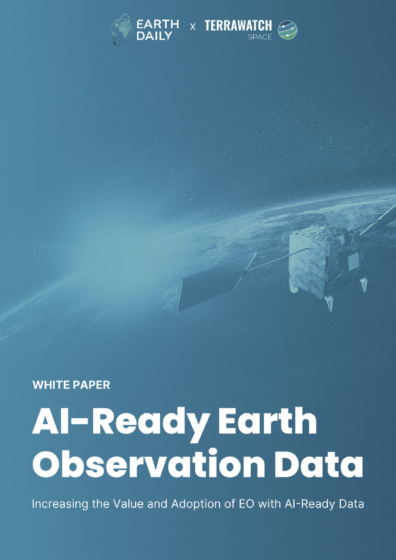 White Paper - Terrawatch -AI for EO
