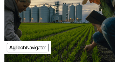 Rice and resilience: Behind the efforts to safeguard an increasingly fragile system-exclusive analysis