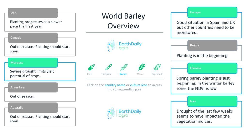 Key findings on global barley production