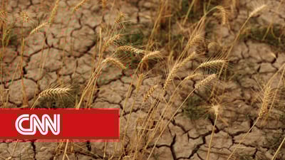 Enquanto RS submerge, seca reduz safra de milho no centro-norte do Brasil, diz EarthDaily