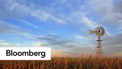 Milei Set for Boost From Best Argentine Soy Crop Since 2019