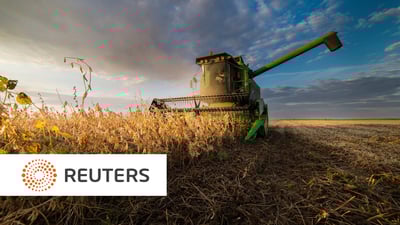 Tendência de produtividade de soja no Mato Grosso é a pior em 15 anos, diz EarthDaily Agro