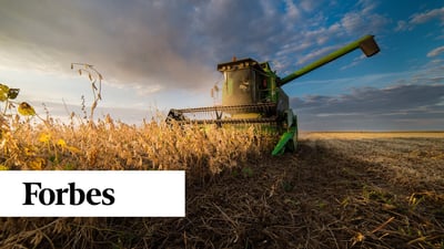 Tendência de produtividade de soja no Mato Grosso é a pior em 15 anos