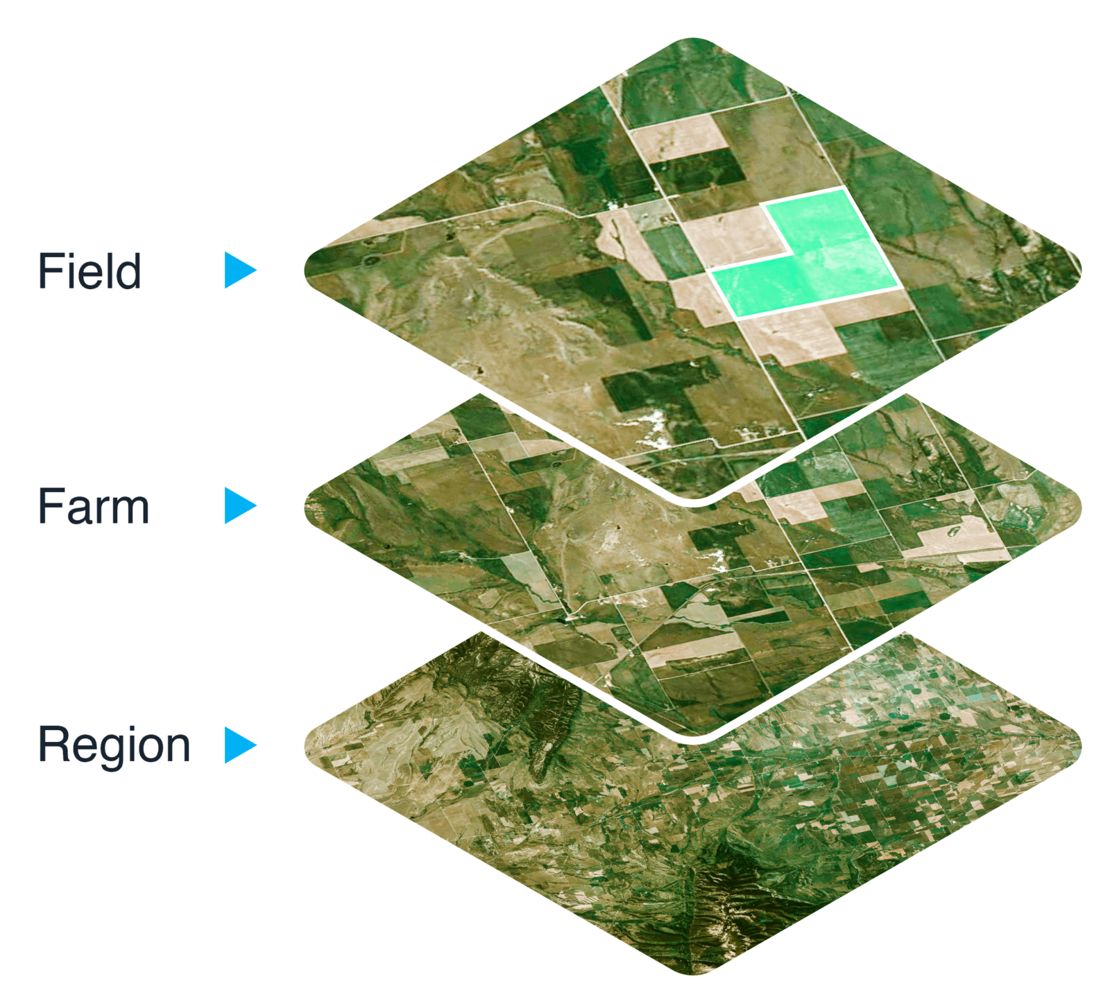 Earth Observation for sustainability