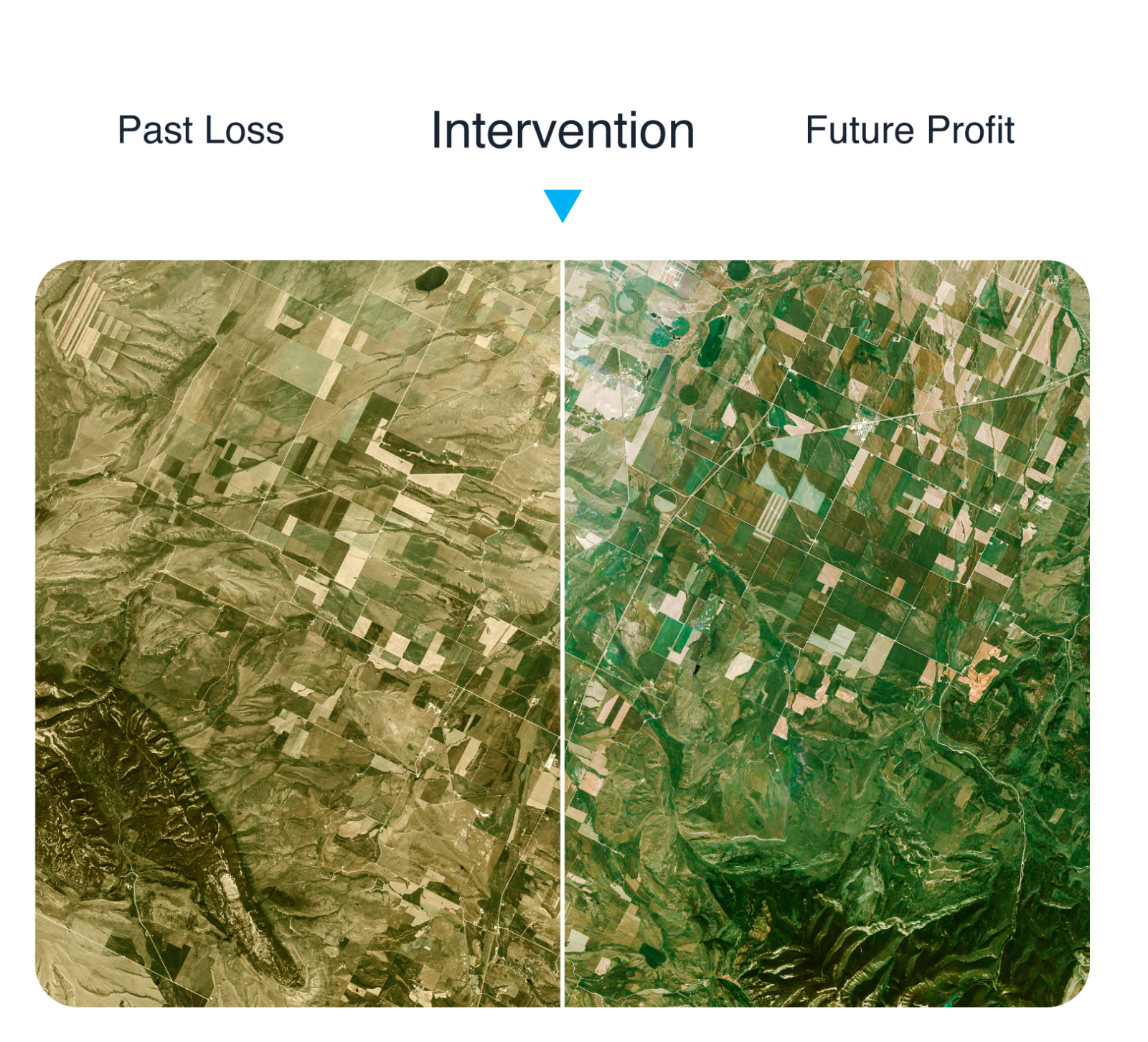 Earth Observation for sustainability