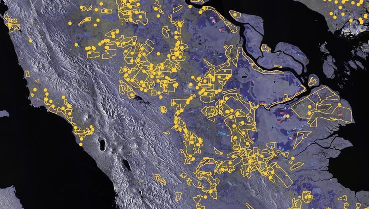 Malaysia Sentinel-1 palm concessions and mills