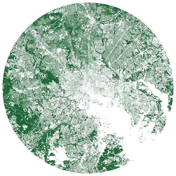 baltimore-beltway-tree-canopy