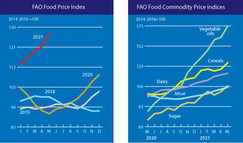 Market Forecasting Framework
