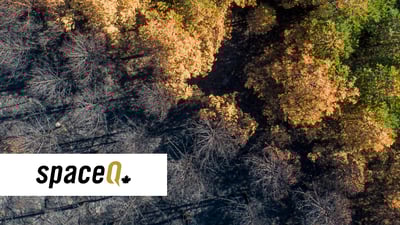 EarthDaily Analytics Acquires SkyForest