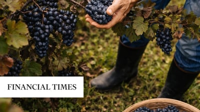 How climate change is redrawing Europe’s wine map