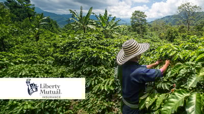Liberty Mutual Reinsurance expands parametric proposition with Colombian agriculture product
