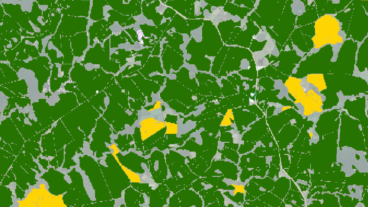 Dual-Season Tracking