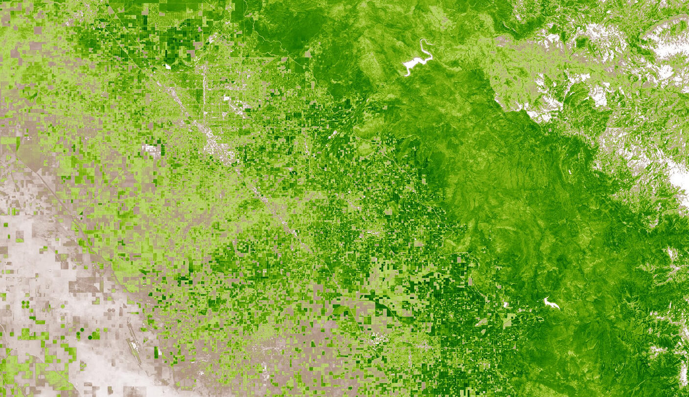 parametric-insurance-satellite-imagery-ndvi-earthdaily