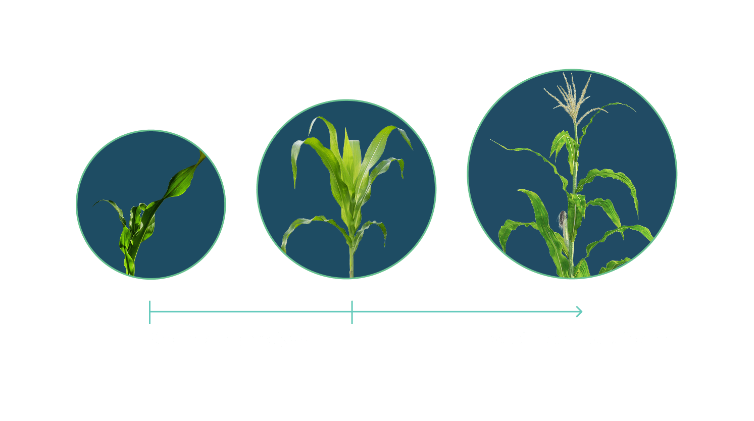 territory-insights-Growth Stage Tracking