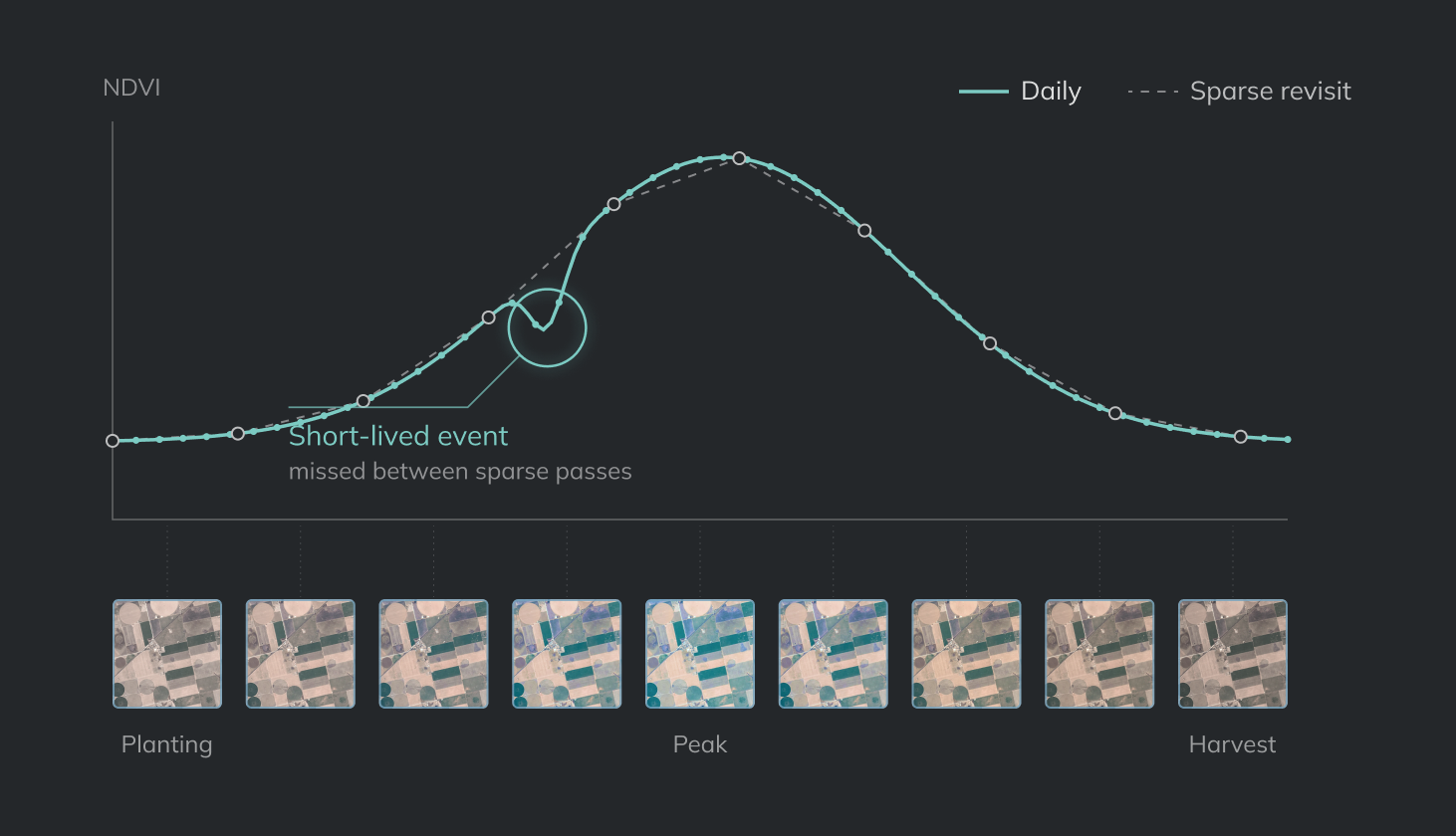 A daily observation series following the real growth curve, compared with sparse points that miss short events