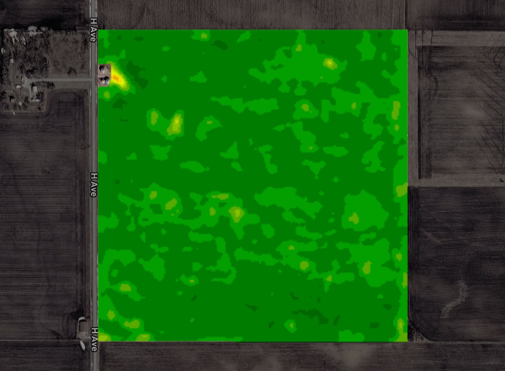 One Iowa corn field in NDVI on Jun 25, 2025: canopy filling, NDVI 0.82