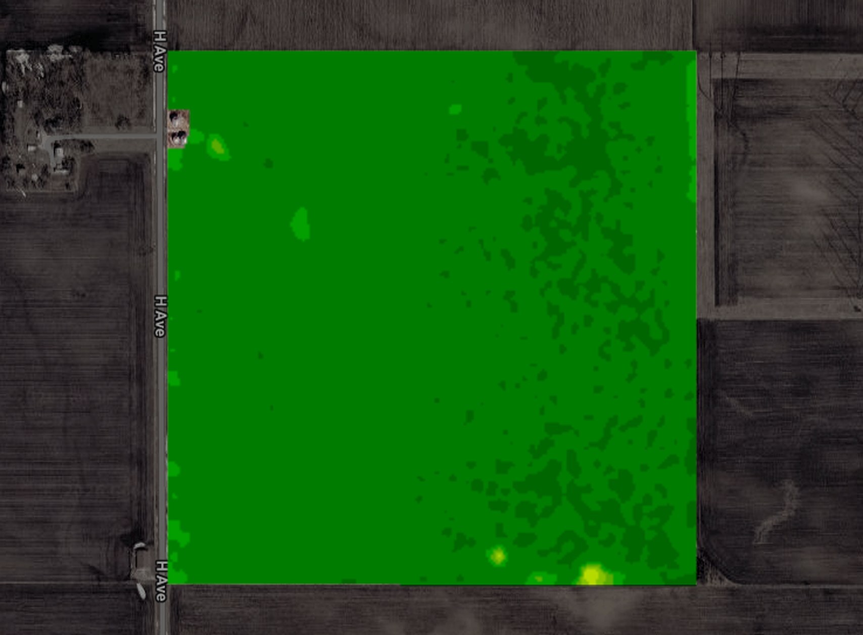One Iowa corn field in NDVI on Jul 31, 2025: tasseling, NDVI 0.90
