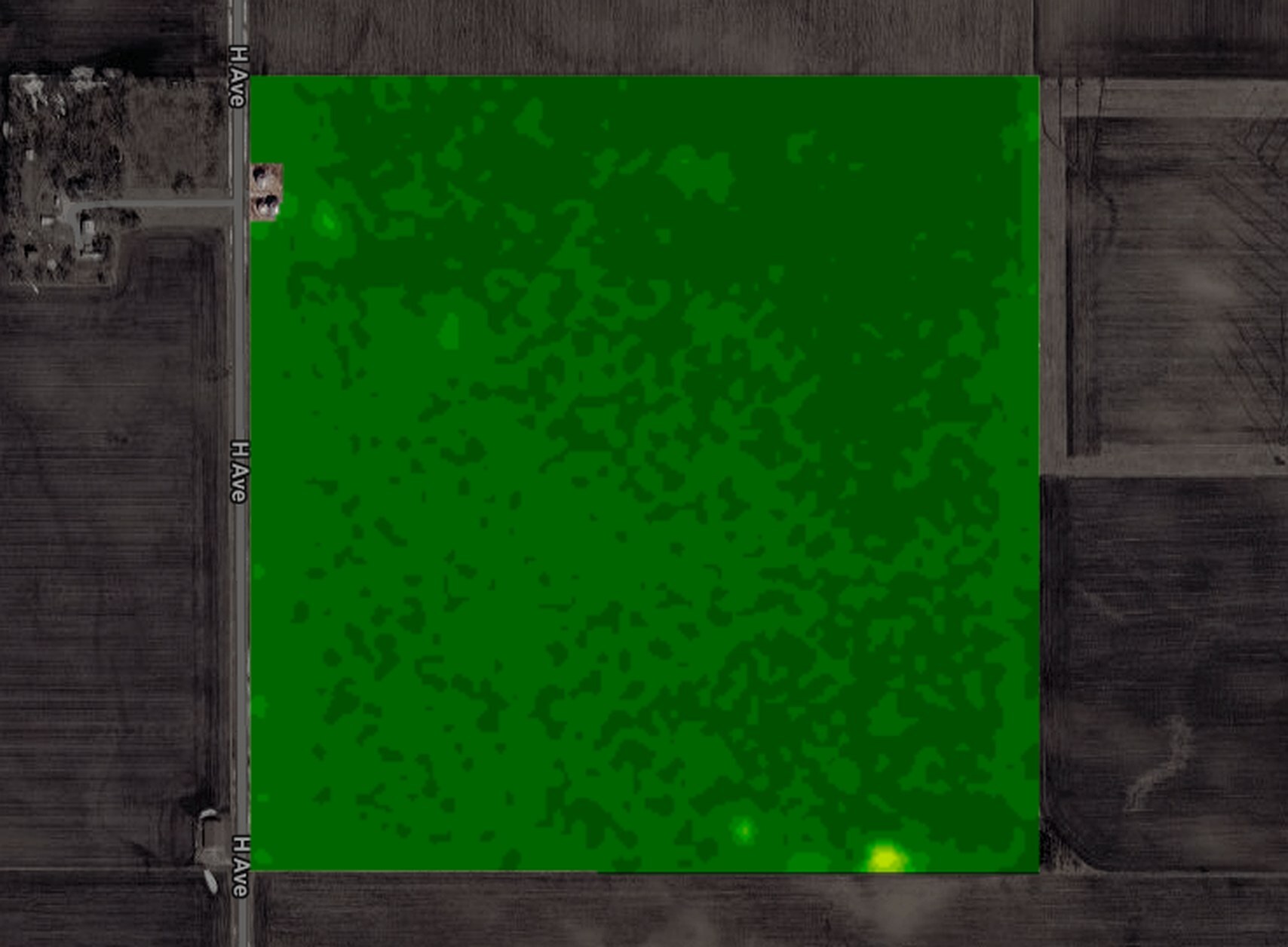 One Iowa corn field in NDVI on Aug 20, 2025: secondary peak, NDVI 0.89