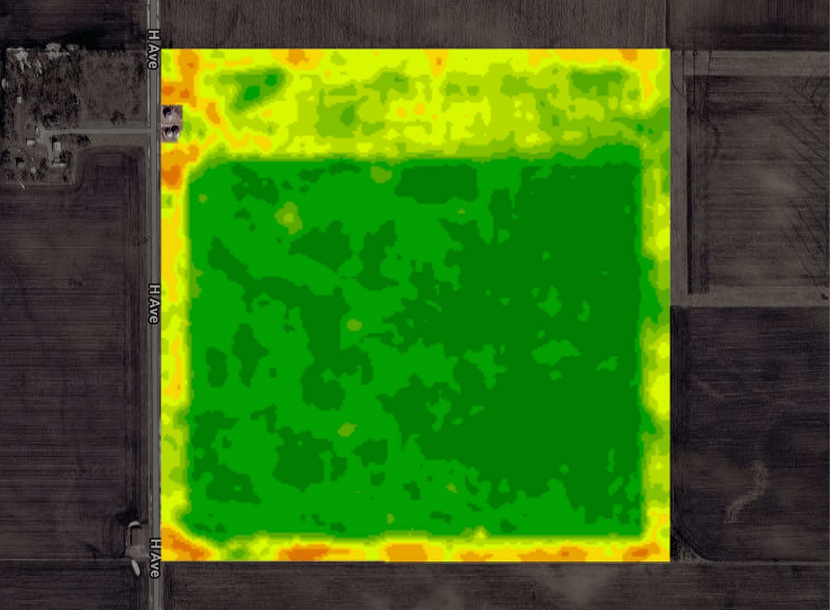 One Iowa corn field in NDVI on Sep 10, 2025: dry down, NDVI 0.62