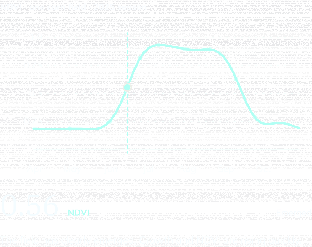 NDVI curve for one Iowa corn field, April to October 2025, marked at Jun 15: NDVI 0.56, Emerged. The field has clearly emerged. Growth and NDVI are rising quickly.