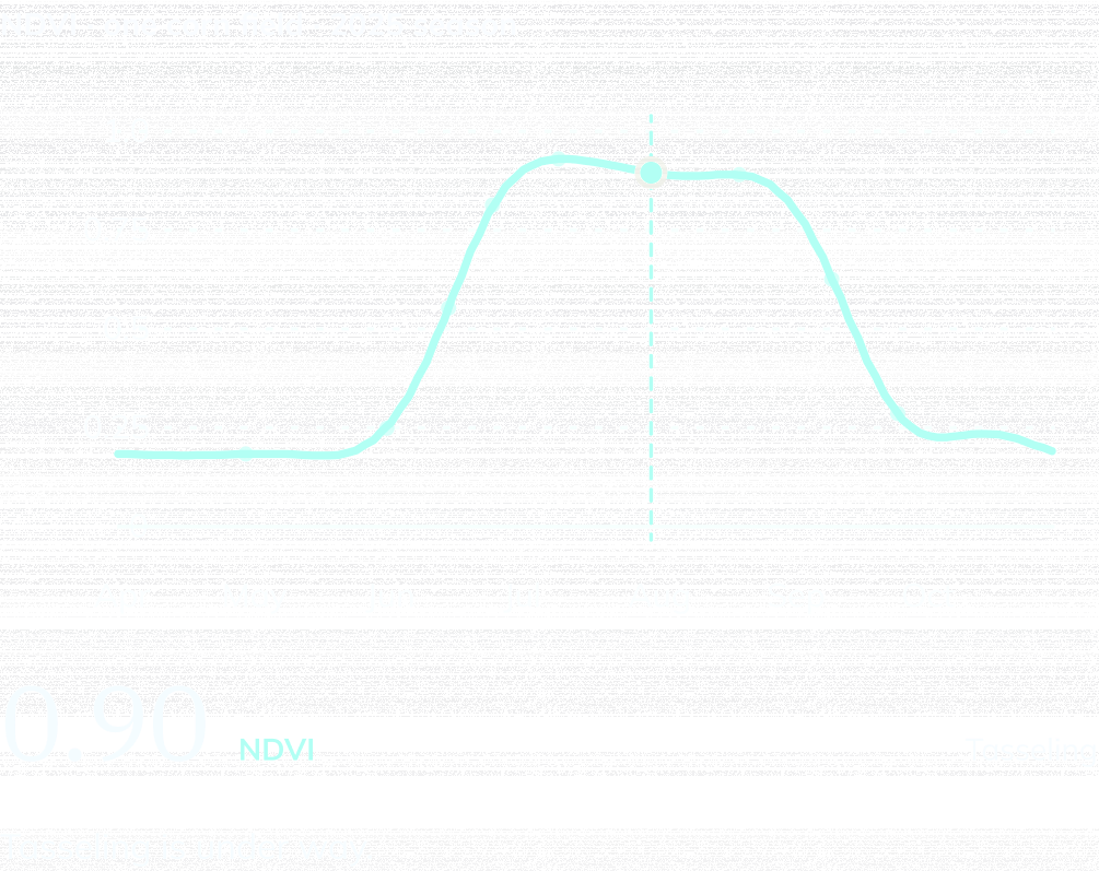 NDVI curve for one Iowa corn field, April to October 2025, marked at Jul 31: NDVI 0.90, Tasseling. Tasseling is under way.
