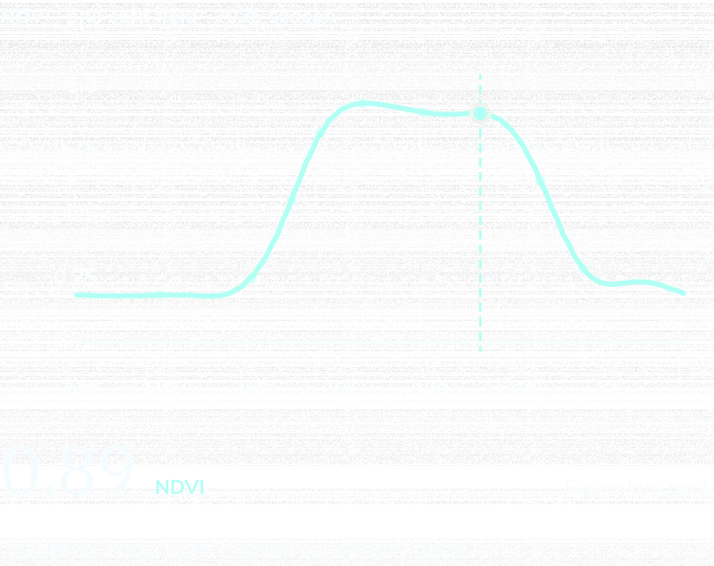 NDVI curve for one Iowa corn field, April to October 2025, marked at Aug 20: NDVI 0.89, Secondary peak. Tasseling ends, with a small secondary peak.