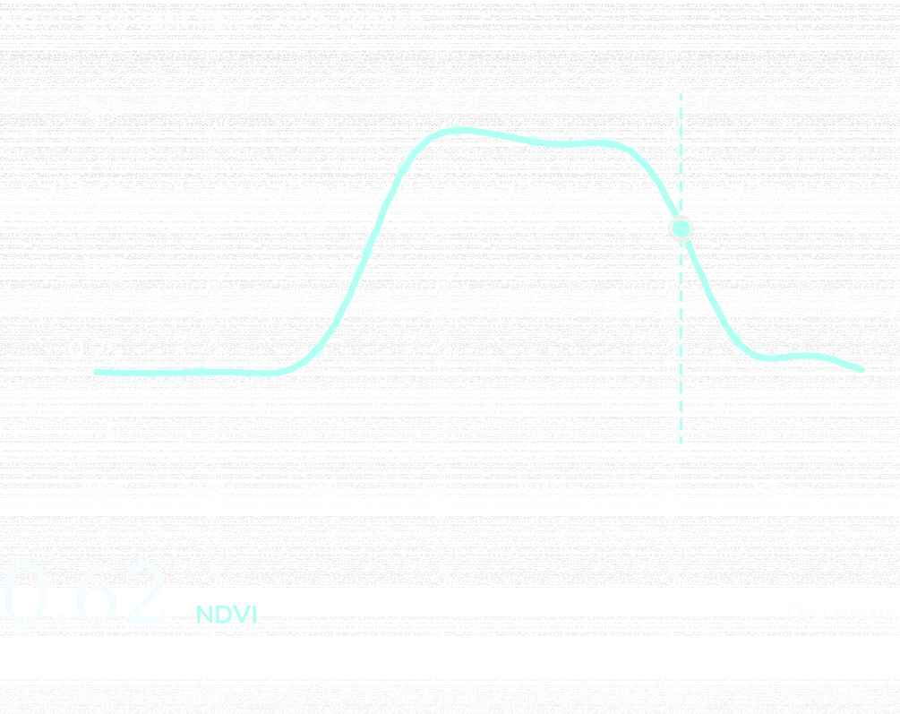 NDVI curve for one Iowa corn field, April to October 2025, marked at Sep 10: NDVI 0.62, Dry down. Dry down is under way. The field edges dry faster than the middle.