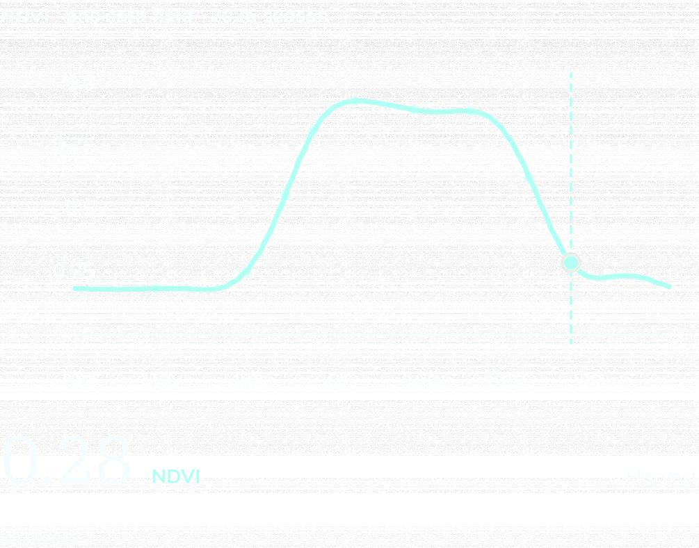 NDVI curve for one Iowa corn field, April to October 2025, marked at Sep 25: NDVI 0.28, Harvest. Harvest.