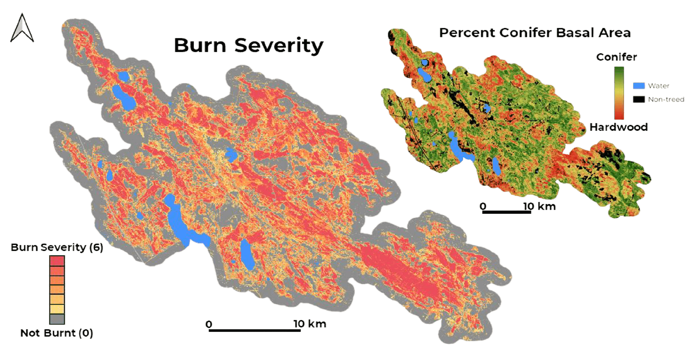 Wildfire Burn Severity Mapping | Start Salvage Planning Early | EarthDaily