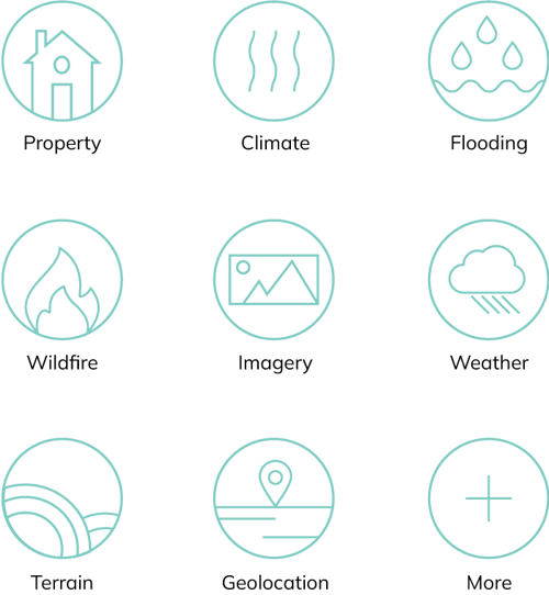 insurance-data-types-ascend
