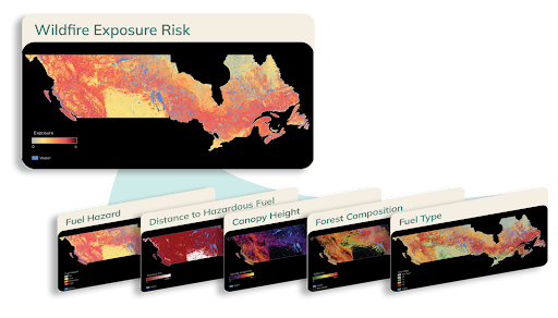 Wildfire exposure risk
