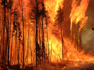 You Can’t Reduce Wildfire Risk If You Don’t Know Where It’s Building