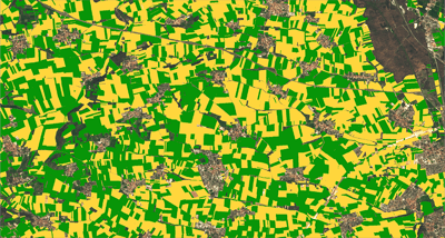 How EarthDaily Territory Insights Supports Early-Season Planning for Agricultural Retailers