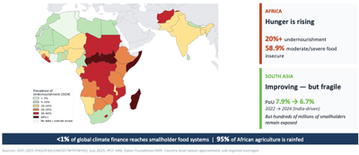 Food Security in Flux: Why Earth Observation Needs Its Moment