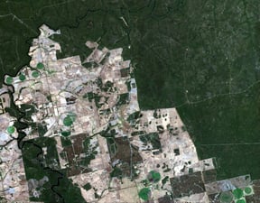 How Real-Time Crop Signals Are Changing Agricultural Market Decisions