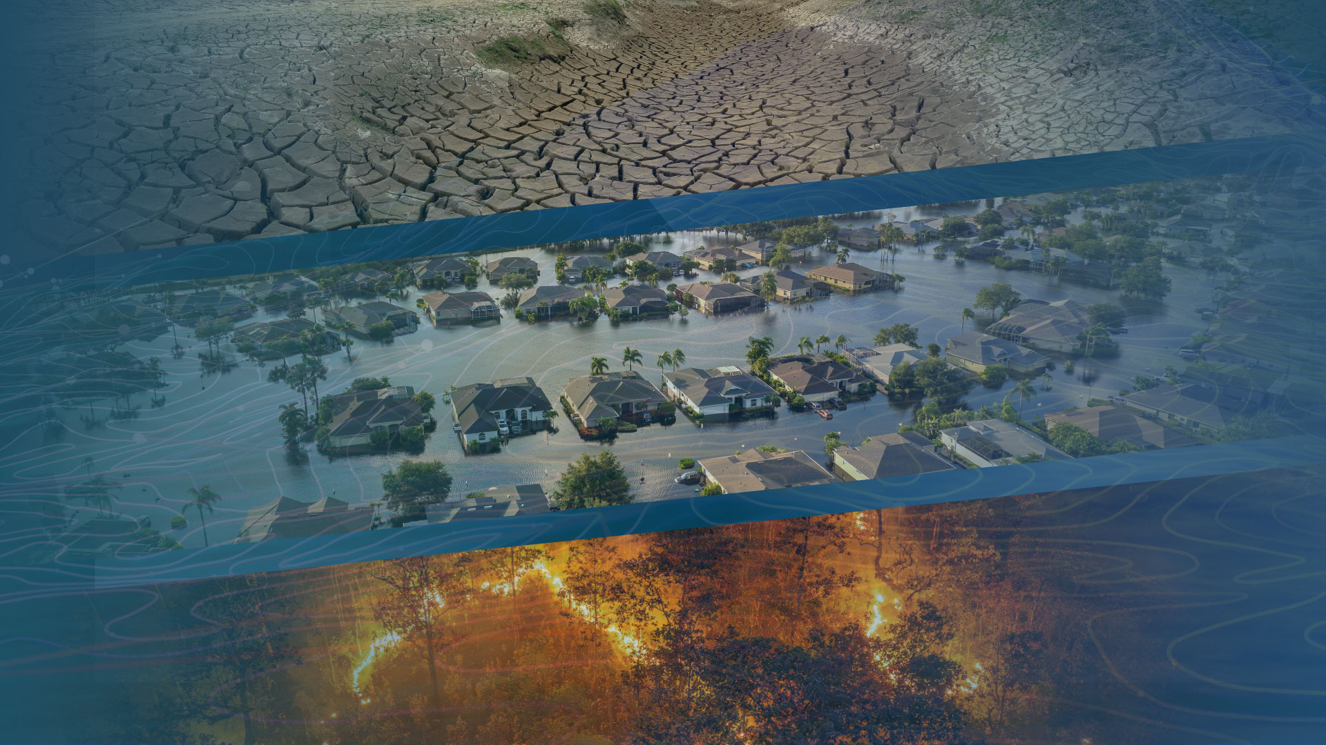 Disaster economy EarthDaily