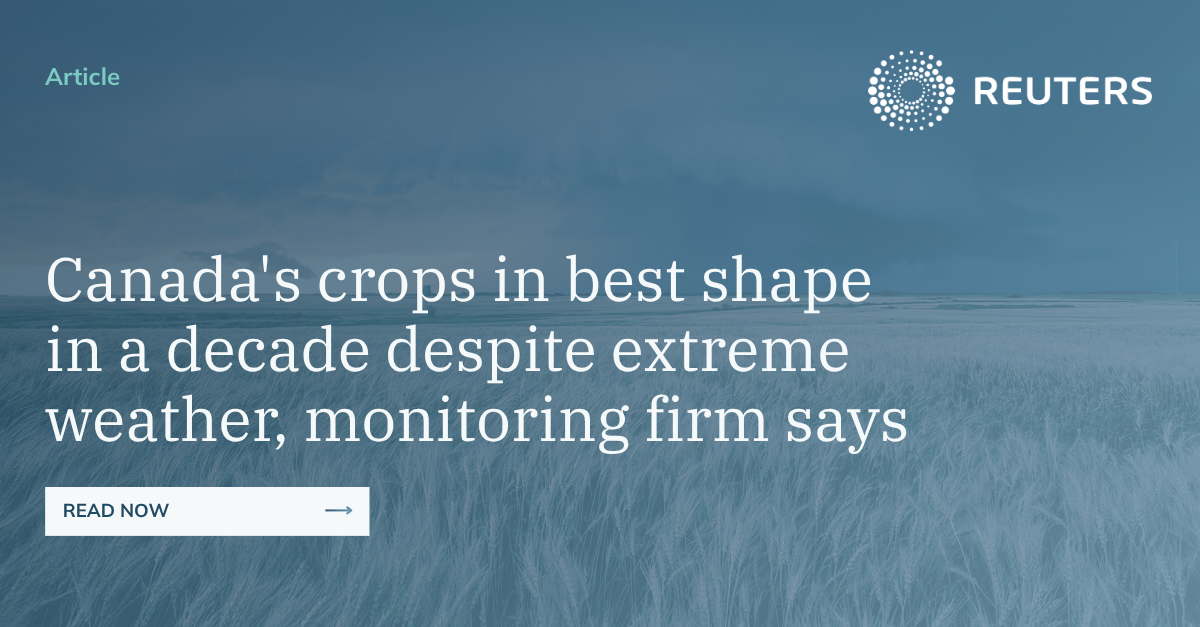 Canadas crops in best shape in a decade despite extreme weather, monitoring firm says