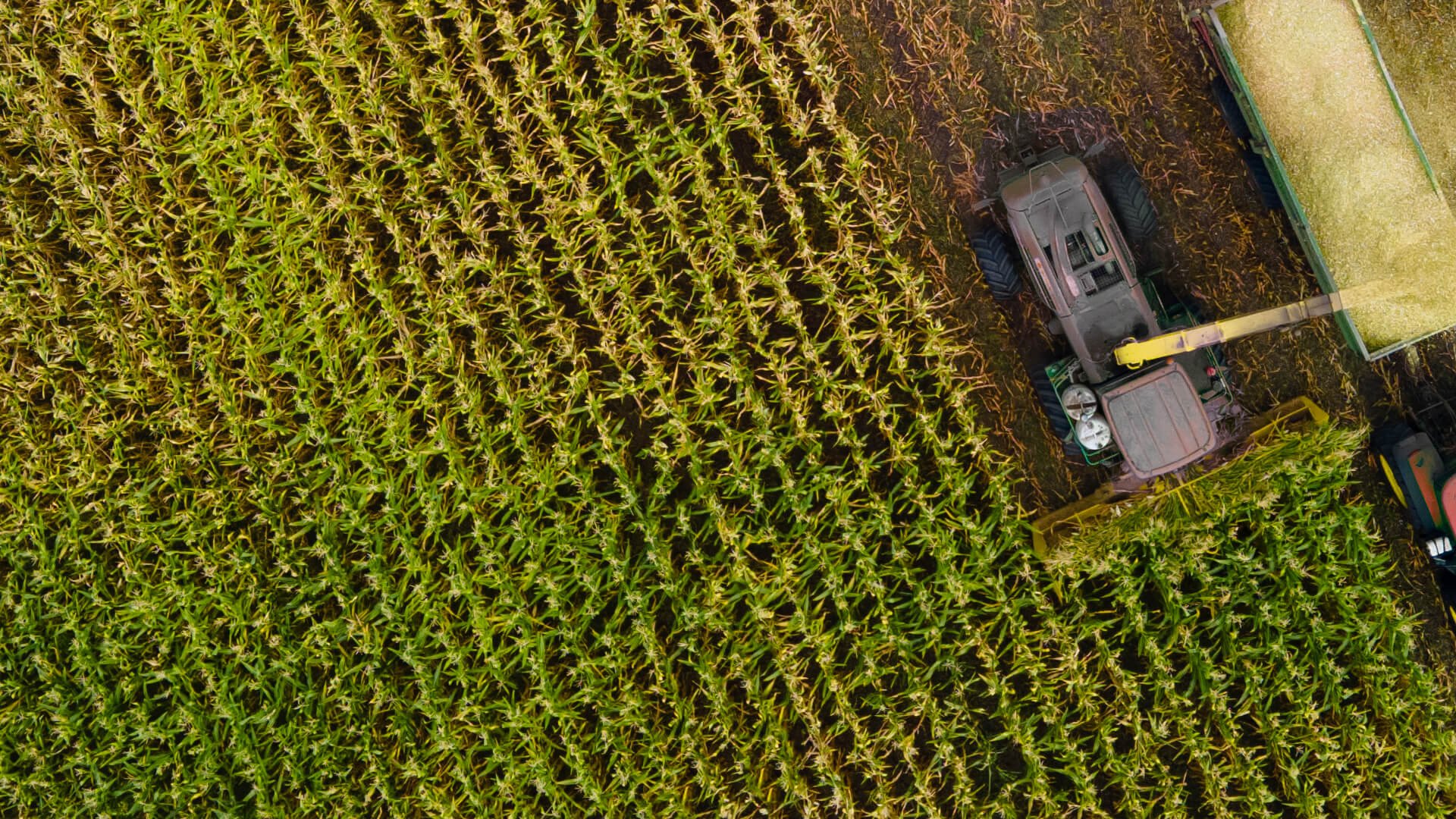 New AI-Ready Data Set For Agriculture