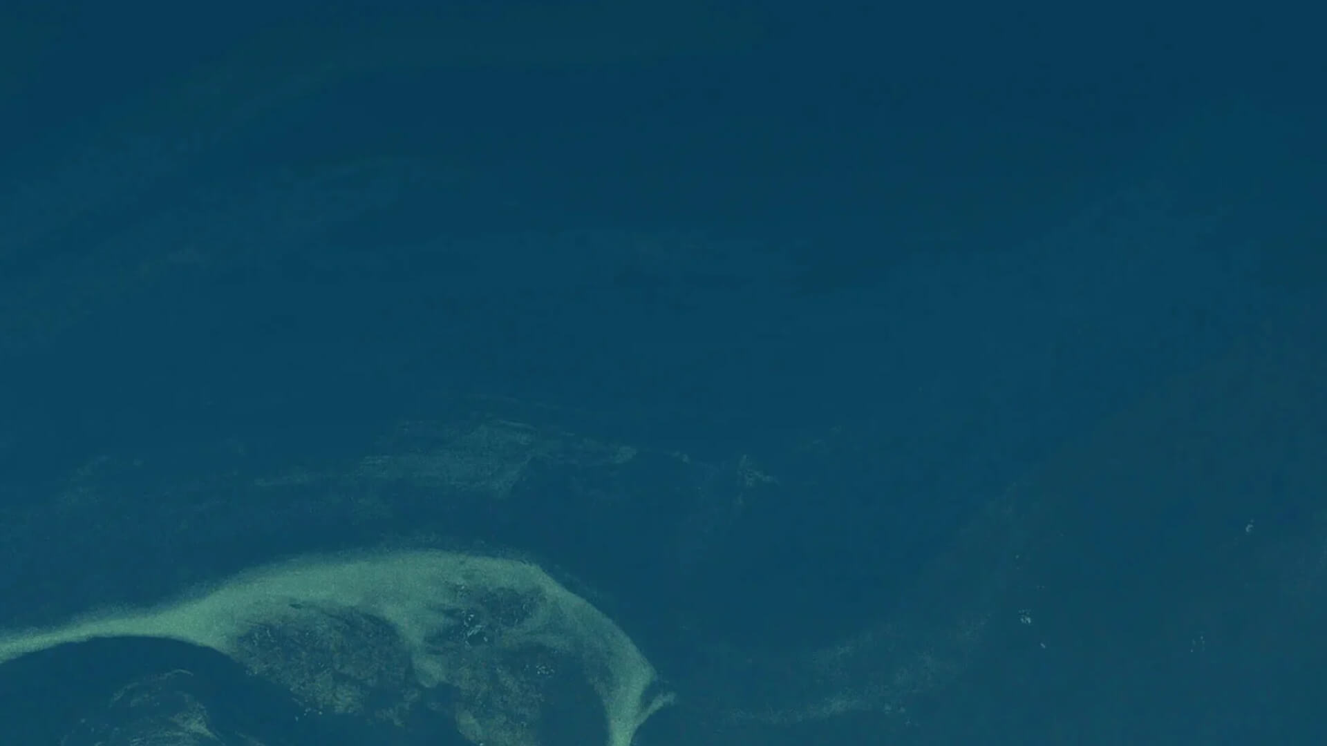 Rice and resilience: Behind the efforts to safeguard an increasingly fragile system-exclusive analysis