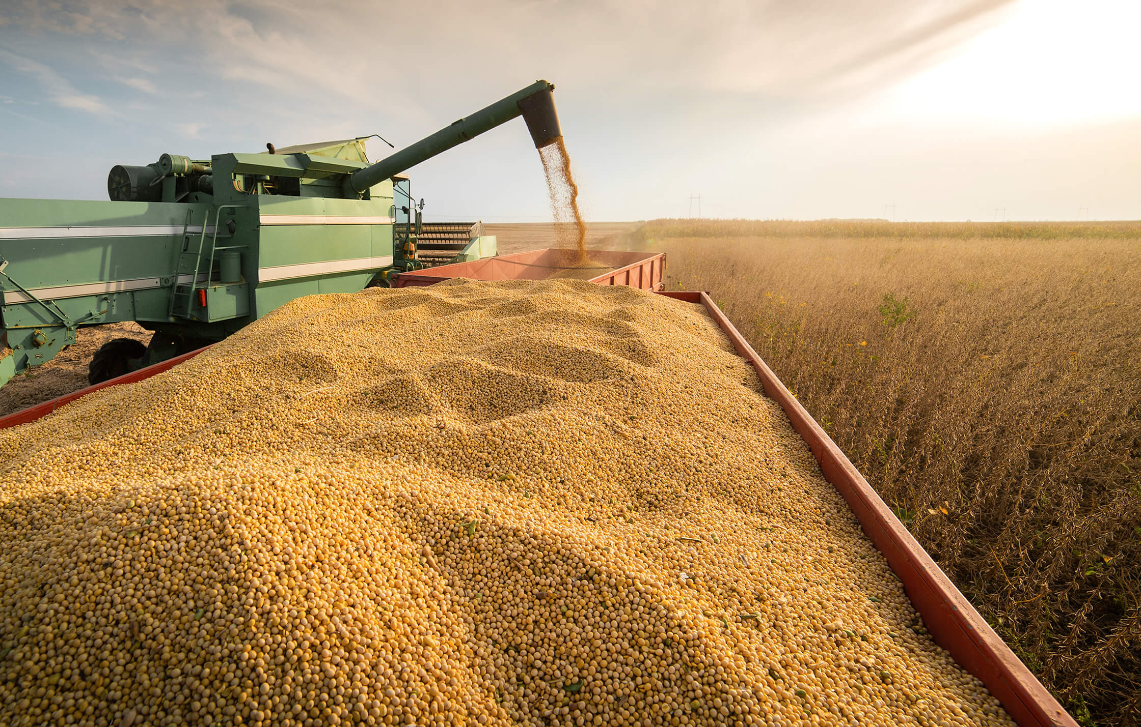 Grains markets hit new highs on Black Sea attacks, crude oil rally