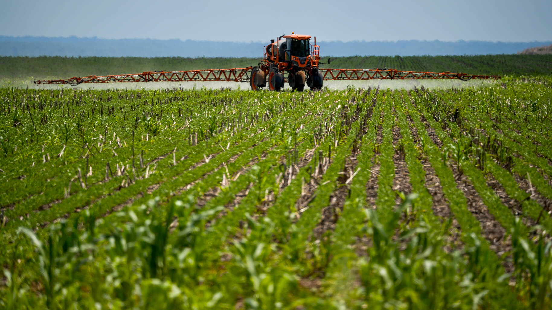 agriculture-territory-insights-earthdaily-corn