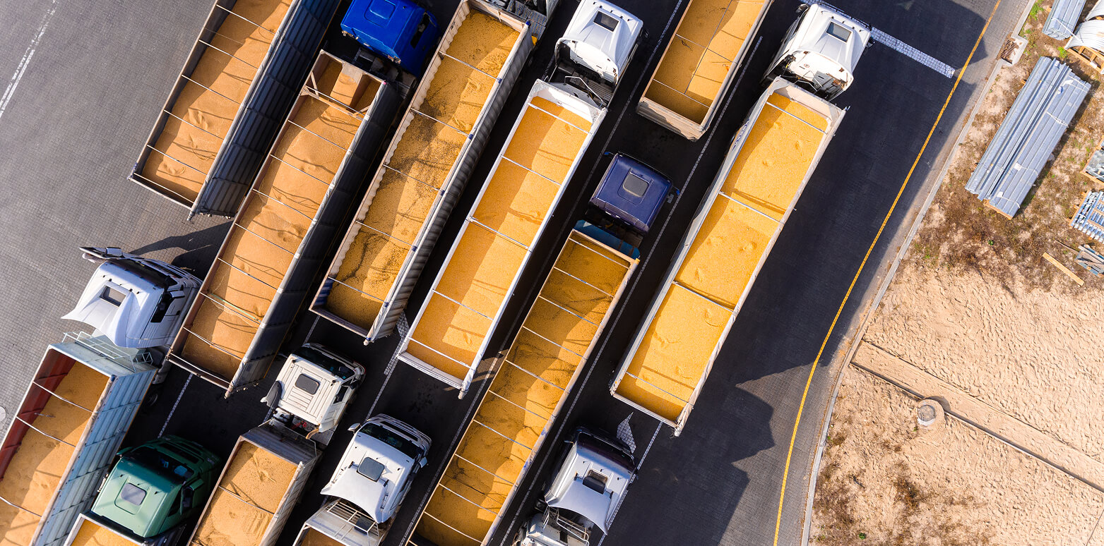 iStock-1301956707 1 (1)