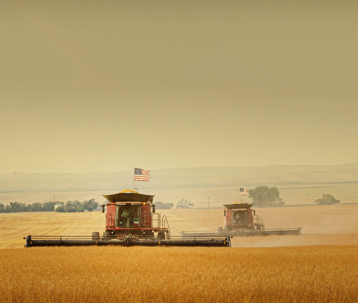 Camelina+Combines+Flags-edit