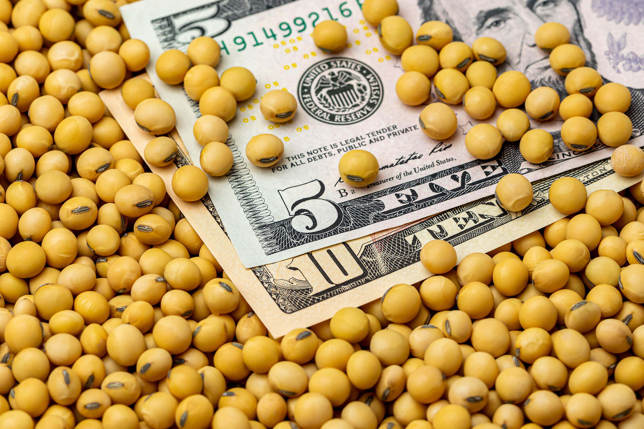 Soybean-Commodities