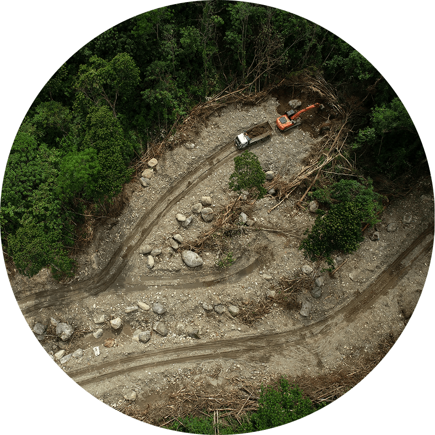 Civil-government-deforestation