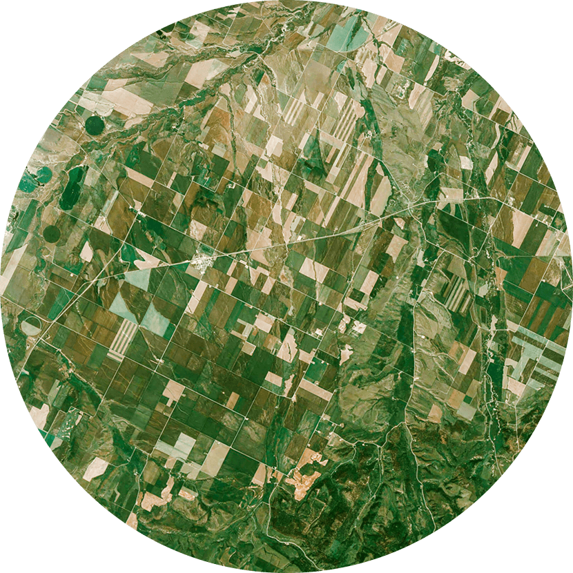 Civil-government-fields