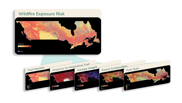 insurance-wildfire-model-forest-health-earthdaily